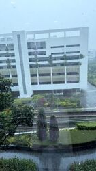 Vision Exchange (D22), Office #639403351